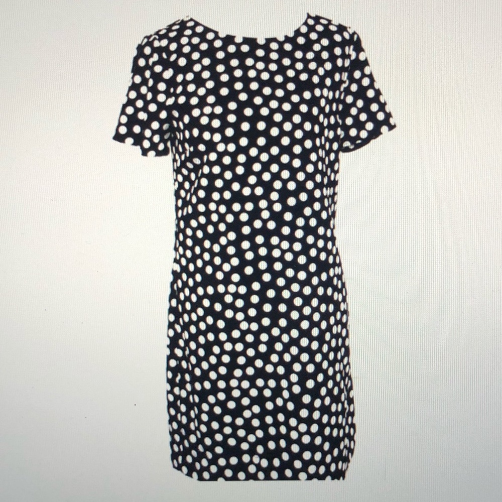 JCrew Shift Polka Dot Dress
